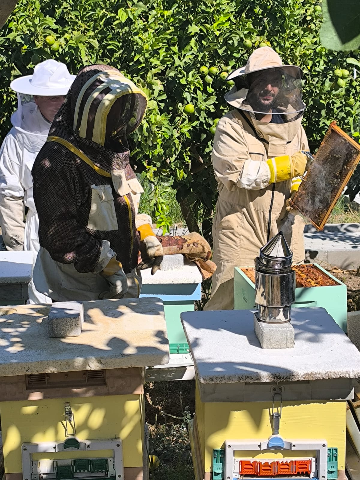2024 course - hive